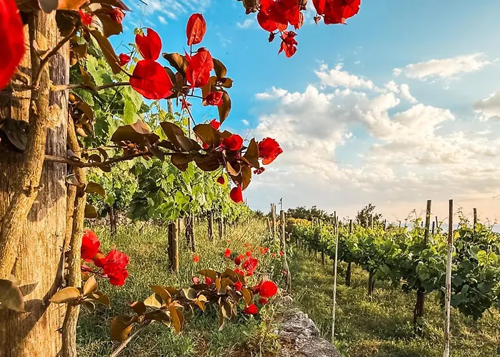 Azzurro Capri Гостевой дом 4*