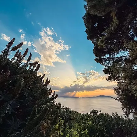 Pensionat Azzurro Capri Anacapri (Isola di Capri)