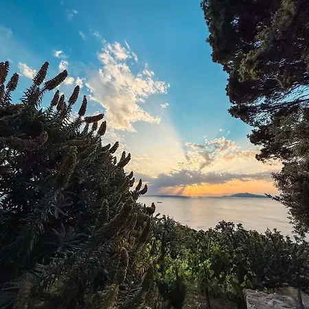 Azzurro Capri * Anacapri (Isola di Capri)