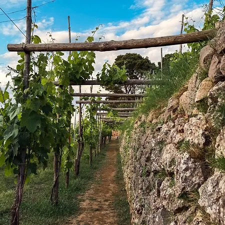 Pensionat Azzurro Capri *