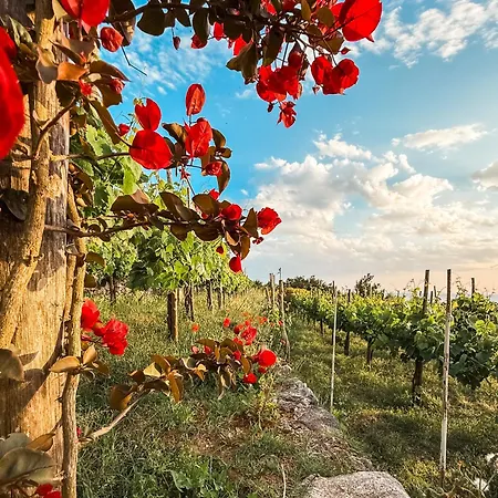 Azzurro Capri Pensionat *