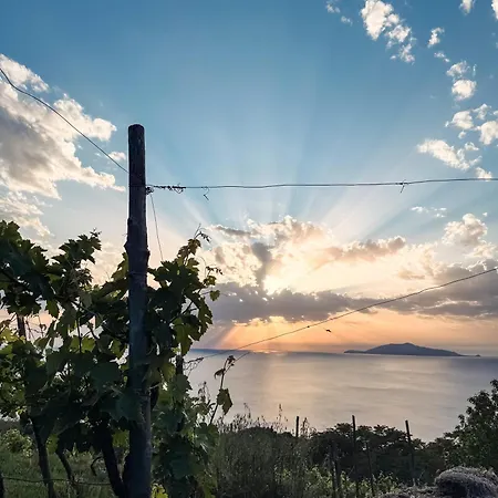 Azzurro Capri * Anacapri (Isola di Capri)