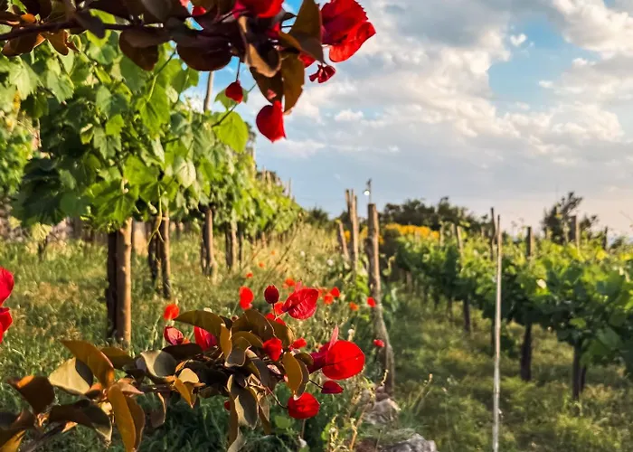 בית הארחה Azzurro Capri אנה קאפרי