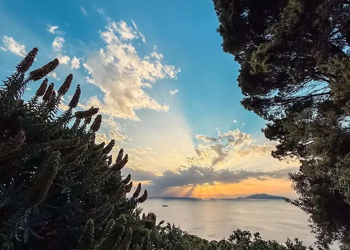 Pensionat Azzurro Capri Anacapri (Isola di Capri)