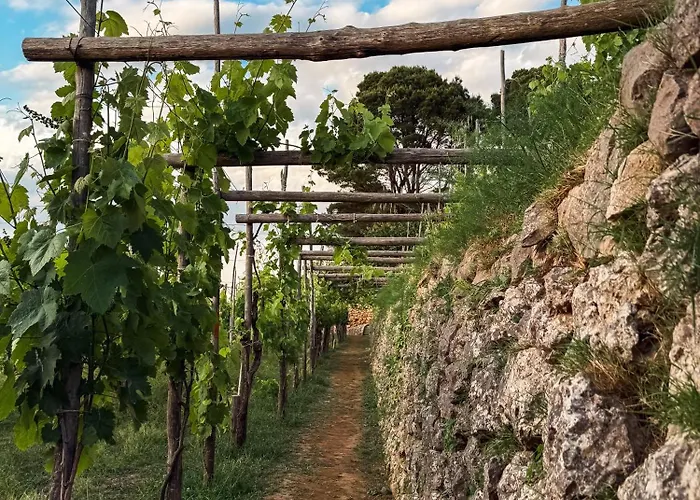 Pensionat Azzurro Capri *