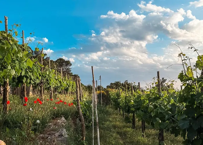 Pensionat Azzurro Capri Anacapri (Isola di Capri)